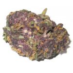 buy gran daddy purp strain
