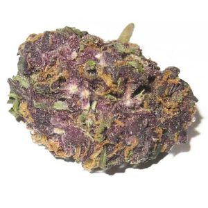 buy gran daddy purp strain