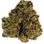 BUY SUNSET SHERBET STRAIN ONLINE