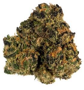BUY SUNSET SHERBET STRAIN ONLINE