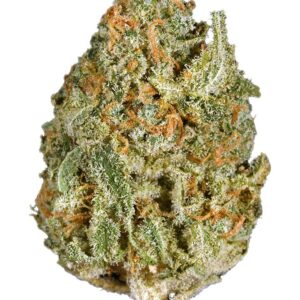 Buy White Rhino Strain Online