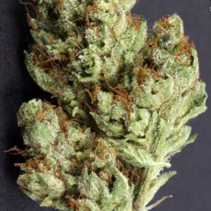 Buy Asteroid OG Strain USA