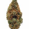 Blue Cheese Strain For Sale