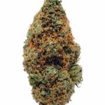 Blue Cheese Strain For Sale