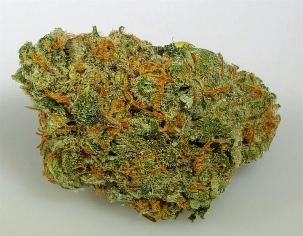 Buy Chocolope marijuana Strain