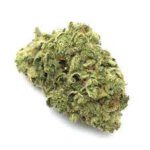 Buy Gorilla Glue Online