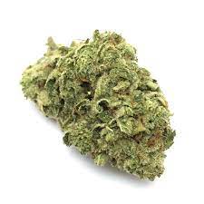 Buy Gorilla Glue Online
