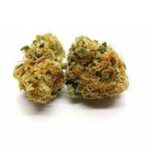 Buy Sensi Star Strain online