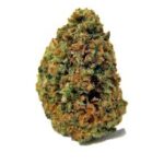 Buy God's Gift Marijuana Strain