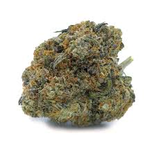 Buy Master Bubba online