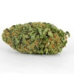 Northern Lights Cannabis Strain