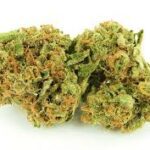 Super Silver Haze For Sale