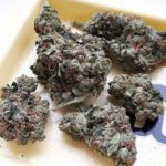 Buy Holy Grail Kush