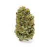 Buy Amnesia Feminized Seeds