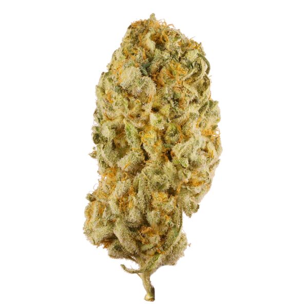 Buy Jack Herer