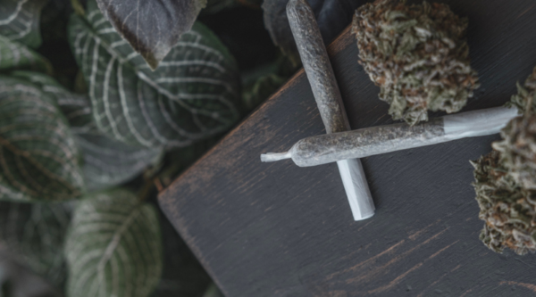 Cannabis 101: Regular Vs Infused Pre-Rolls | Exotic Cannabuds