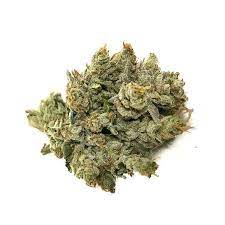 Buy OG Kush