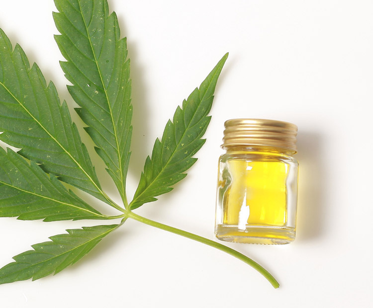 buy cannabis oil