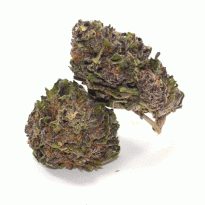 Purple Strain Weed For Sale