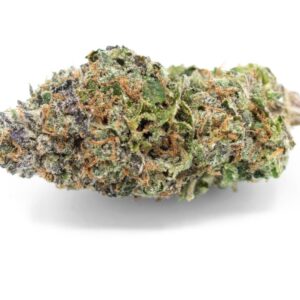 Buy Girl Scout Cookies Strain