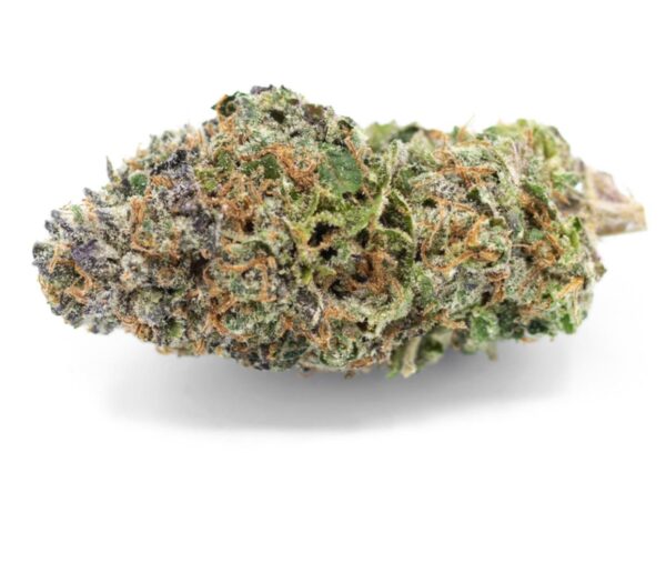 Buy Girl Scout Cookies Strain
