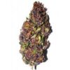 Buy Purple Haze
