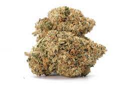 Buy 24K Gold Cannabis