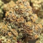 Alien OG -Clones For Sale Online
