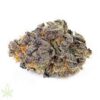 ANIMAL COOKIES -Clones For Sale Online