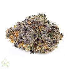 ANIMAL COOKIES -Clones For Sale Online