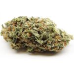 Buy Trainwreck online