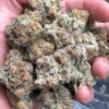 Cali Kush For Sale