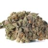Buy Blueberry Haze Online