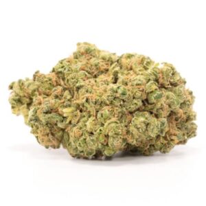 Exotic sativa strains for sale