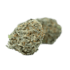 Buy Yoda OG Kush