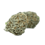 Buy Yoda OG Kush