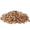Buy Banana Kush Autoflower Seeds