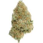 Buy Hawaiian Cookies Strain