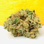 buy lemon skunk