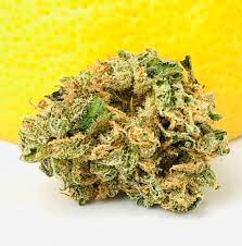 buy lemon skunk