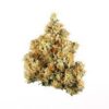 Buy NYC Diesel Marijuana Strain