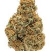 marijuana clones for sale