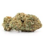 Buy Jack Diesel