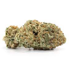Buy Jack Diesel
