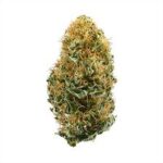buy white widow