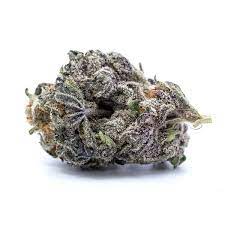 buy snow white strain