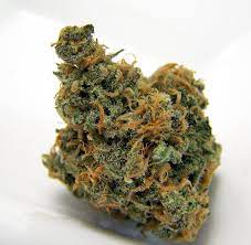 Buy Tangerine Dream weed