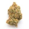 Buy G-13 Haze Kush