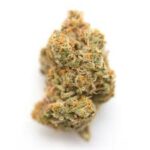 Buy G-13 Haze Kush