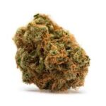 buy hindu kush online